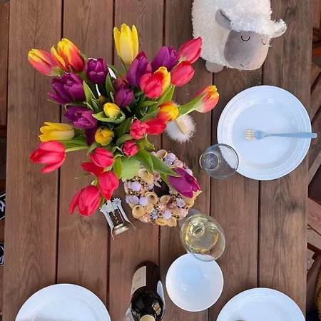 Voeroesko -elnoeki Szauna Es Jakuzzi Hasznalattal 3* Balatonalmádi